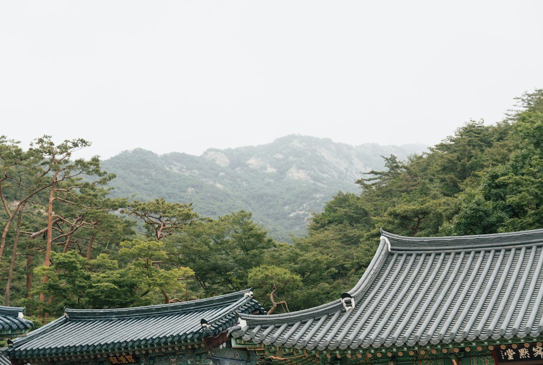 선유도역요가 참고 이미지 2